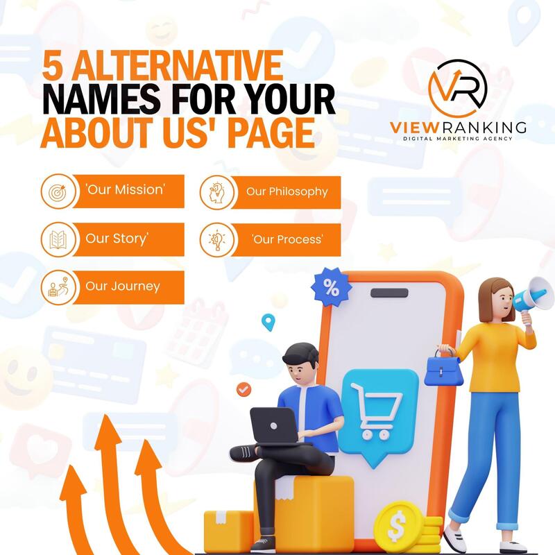 Website Design & Development Service viewranking