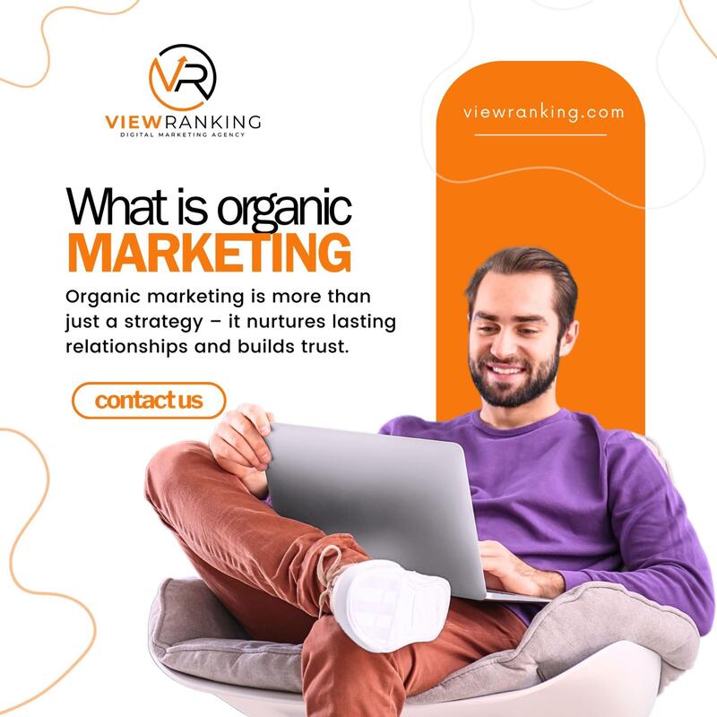 Best SEO Agency in San Diego Viewranking