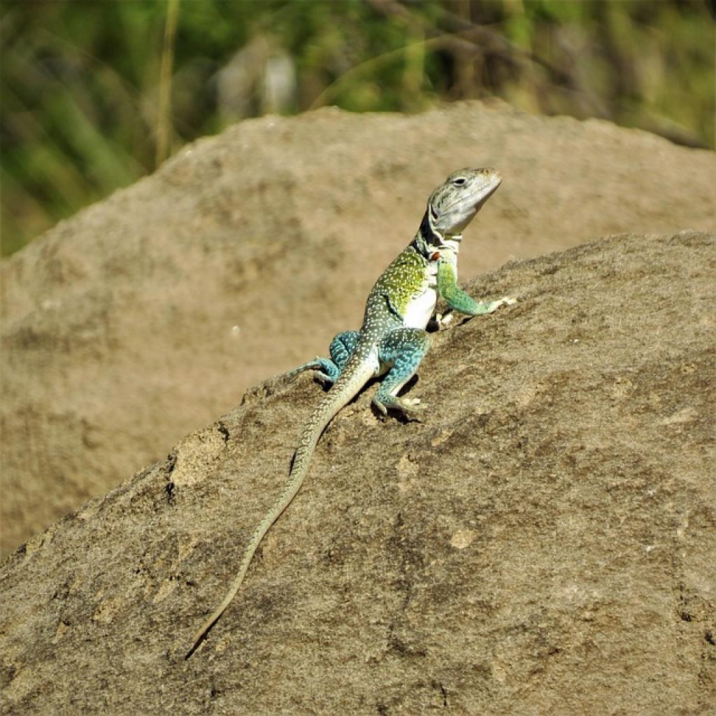 17459134241513UzHWPRkO26 inpost image