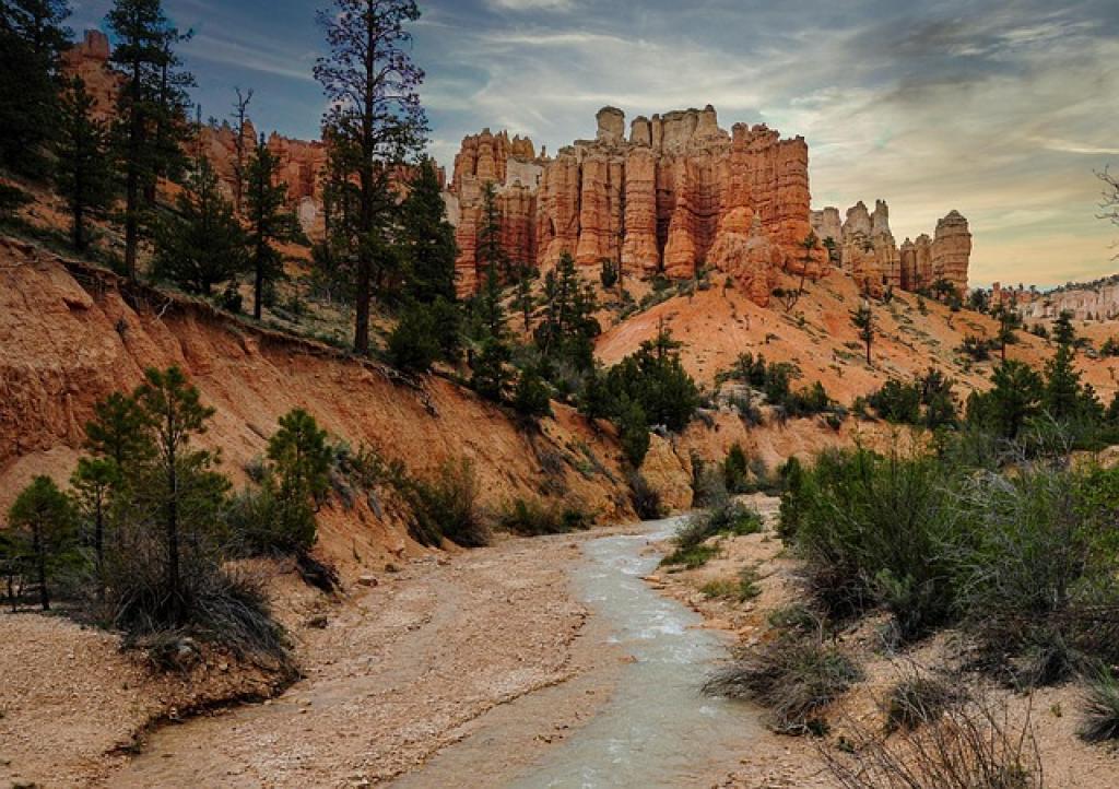 SEO Vs. PPC: Which Is Better for Your Business? 1 a river running through a canyon