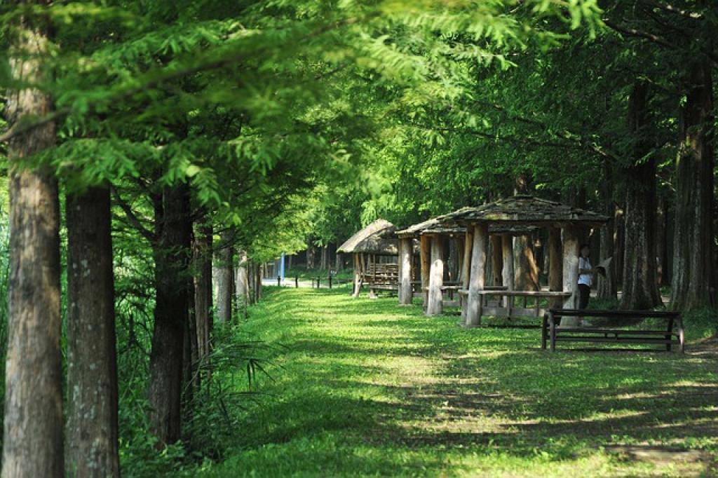 17480436622458oz3z8PHP5N inpost image