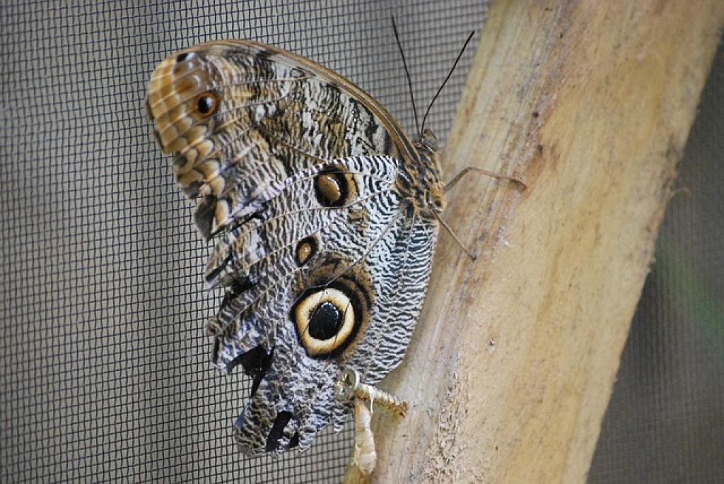 174864858526768cppmlnWuP inpost image