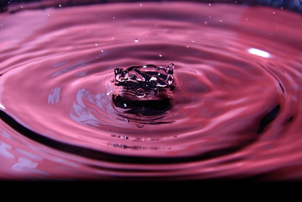 17491769422877gYUlatNVyq