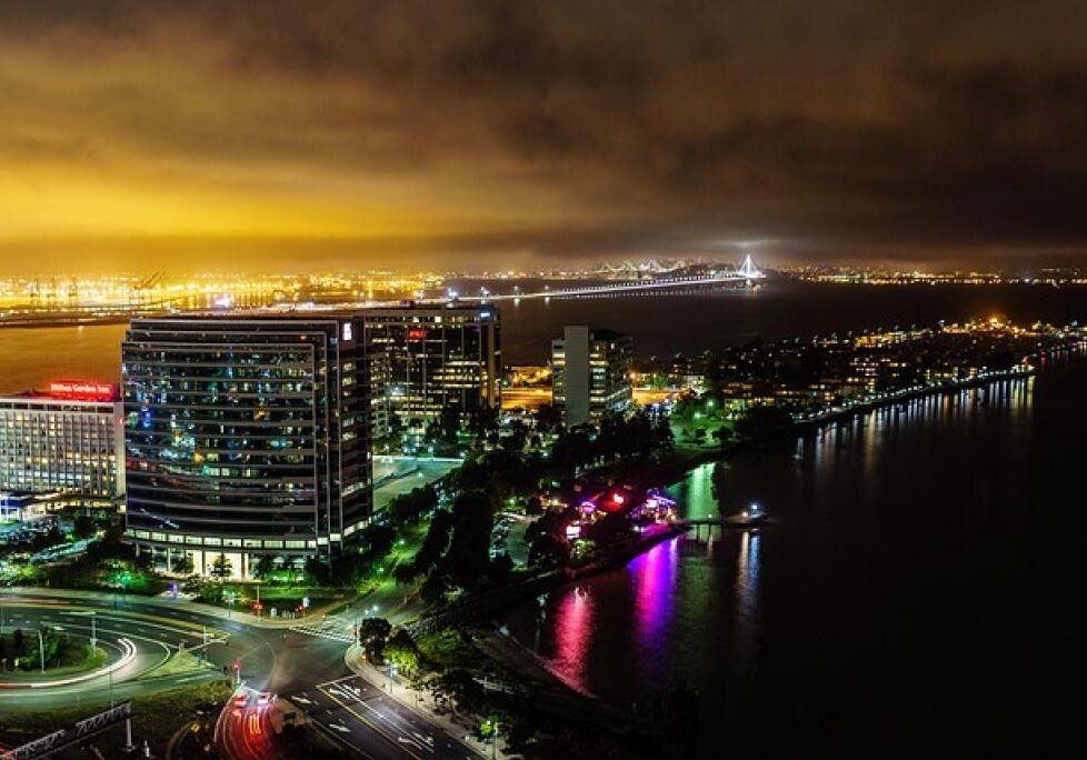 local-seo-bay-area-how-viewranking-can-help