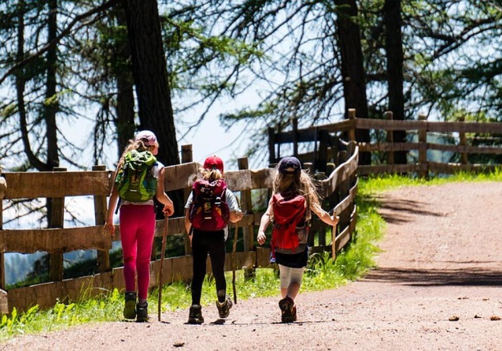 17461465231816PUcUi7OR2z_inpost_image