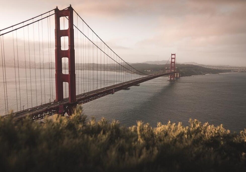 17464040431887w2jRFrkFXf