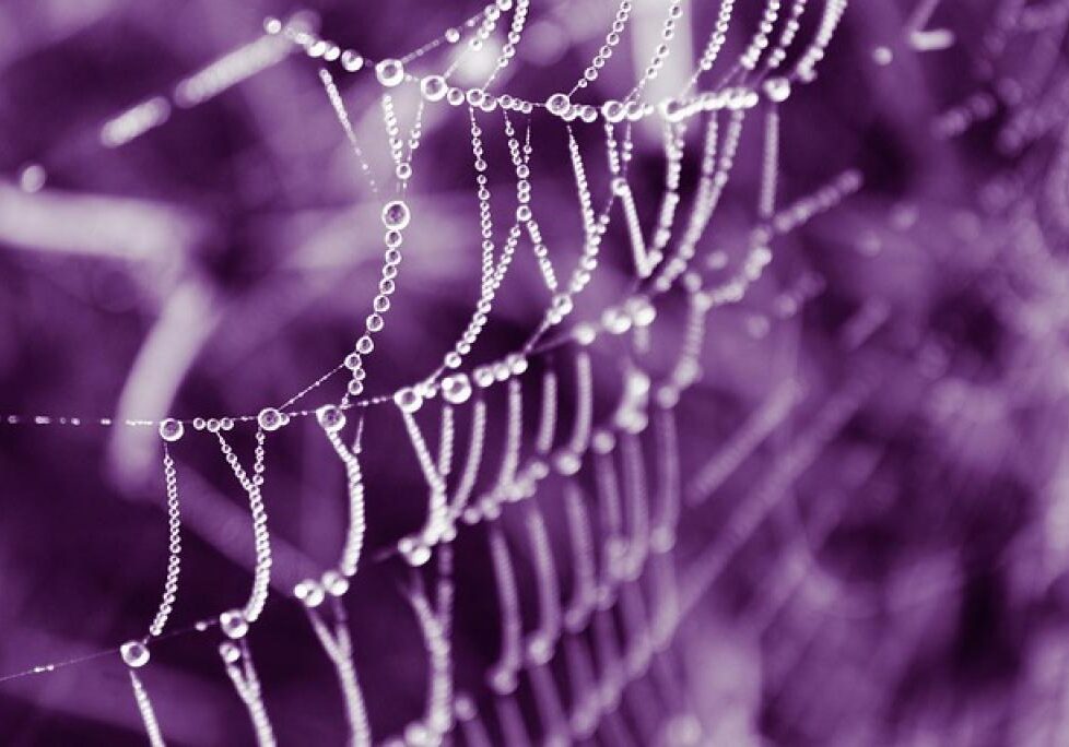 17465748611936p7V7e5u6DA