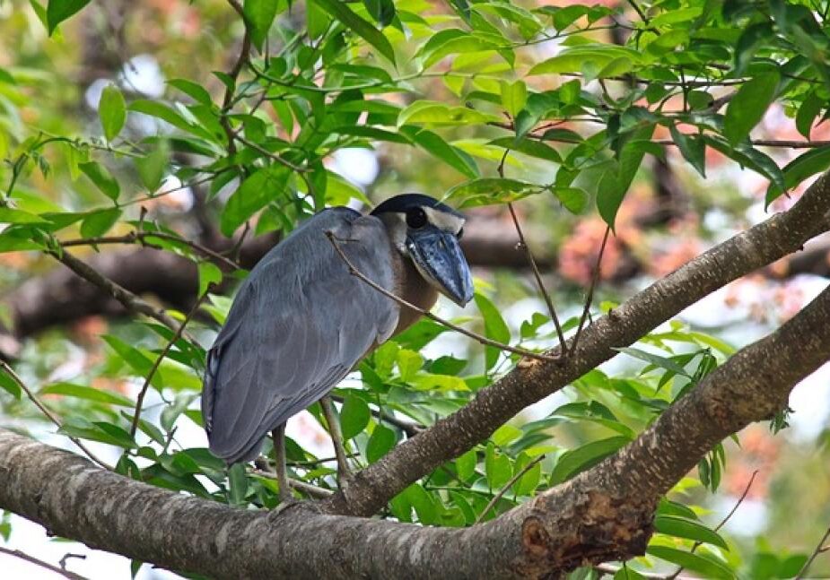 17471004672106jGPc9KCY3n