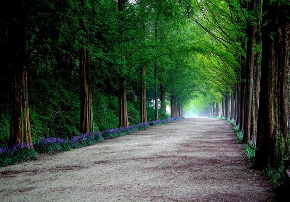 174804360724581OclXhADgY