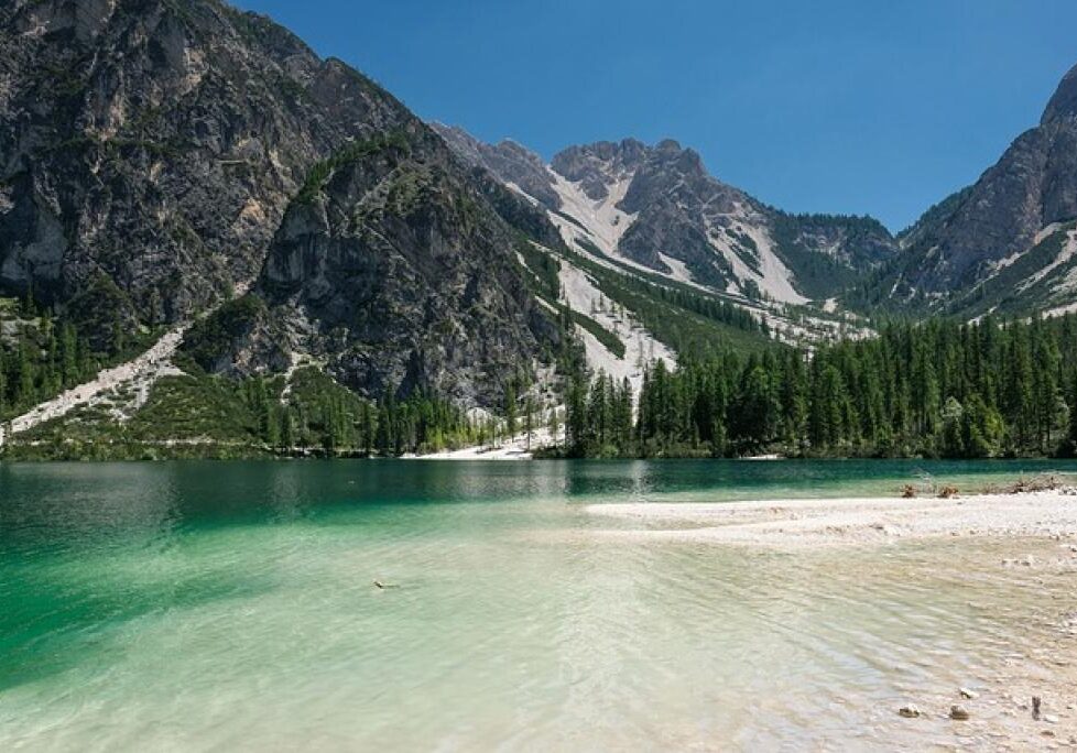 17483049032570dBkvZtuYPp