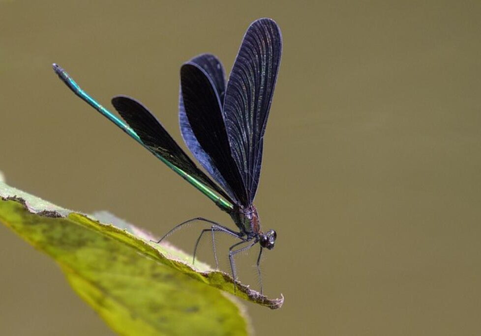 17485621222645MuL3W2IOtx