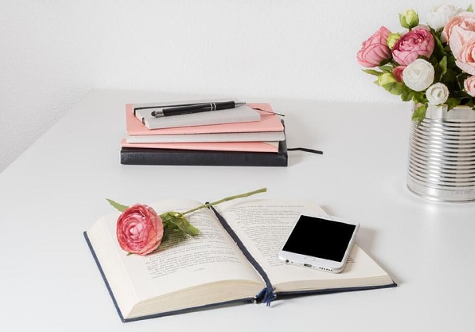 17490018042803ds0dBTjc8M