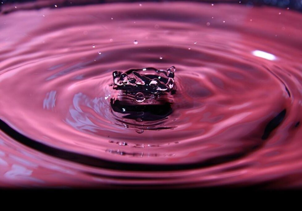 17491769422877gYUlatNVyq