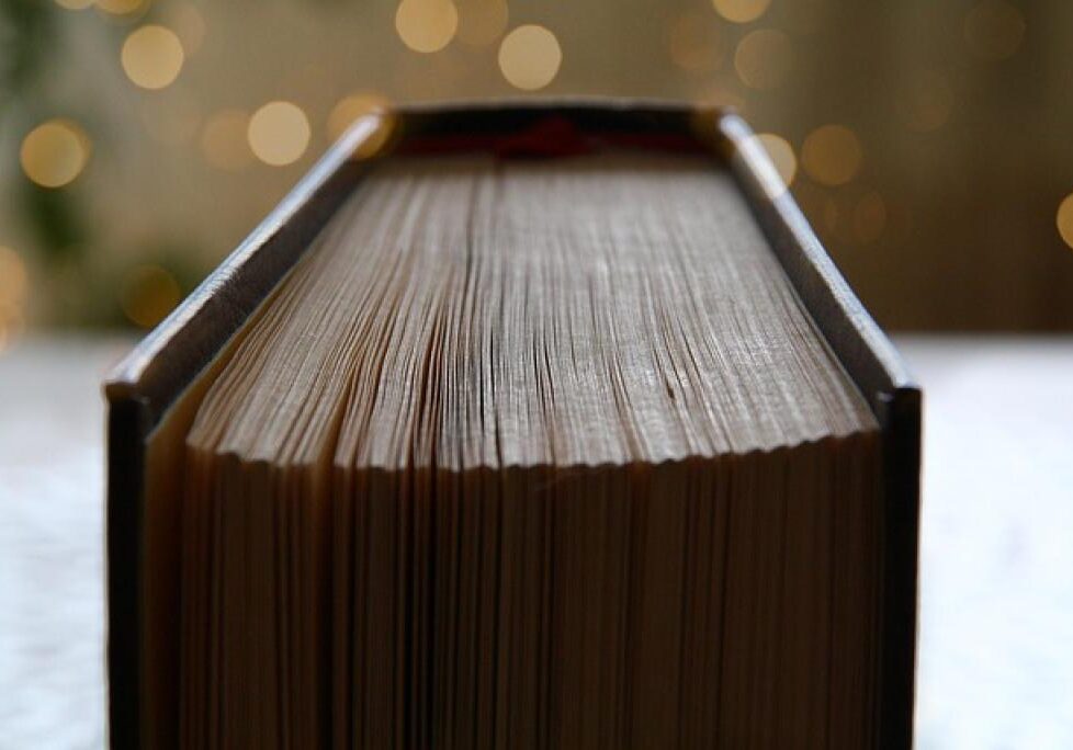 17493458452943gokWNsATrF