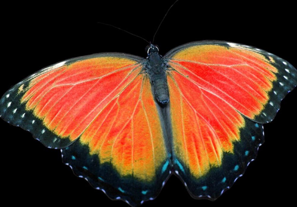 17494342842975Shdw7NhEQ8