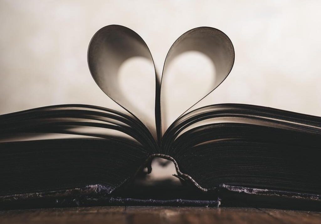 Book pages forming a heart shape.